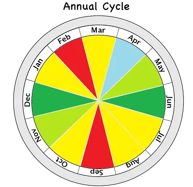 annual_cycle2.png