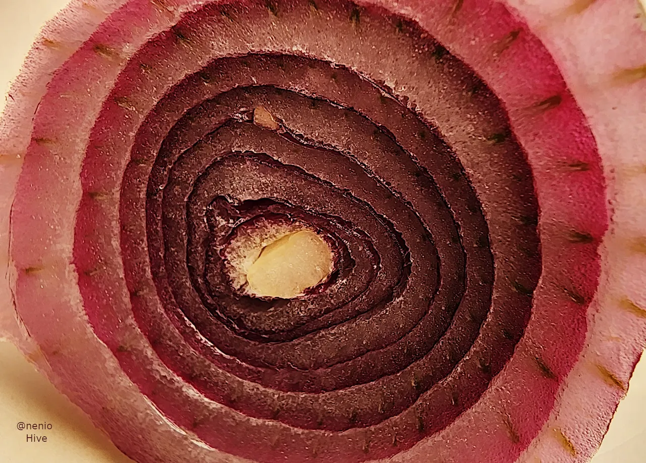 red-onion-001.jpg