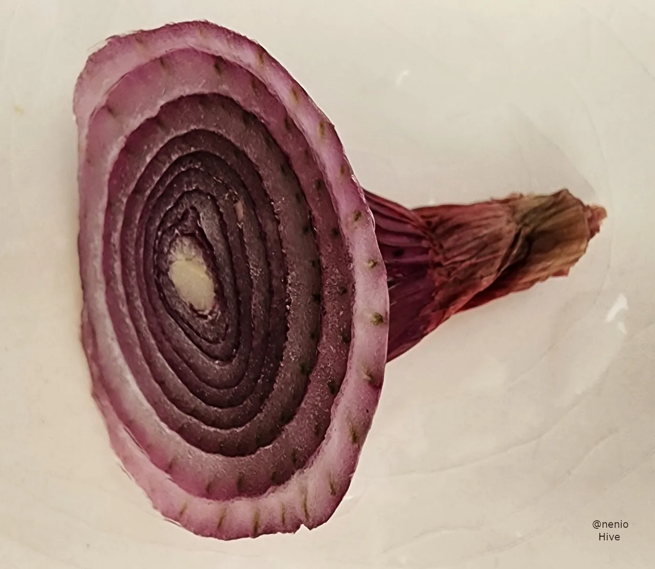 red-onion-003.jpg