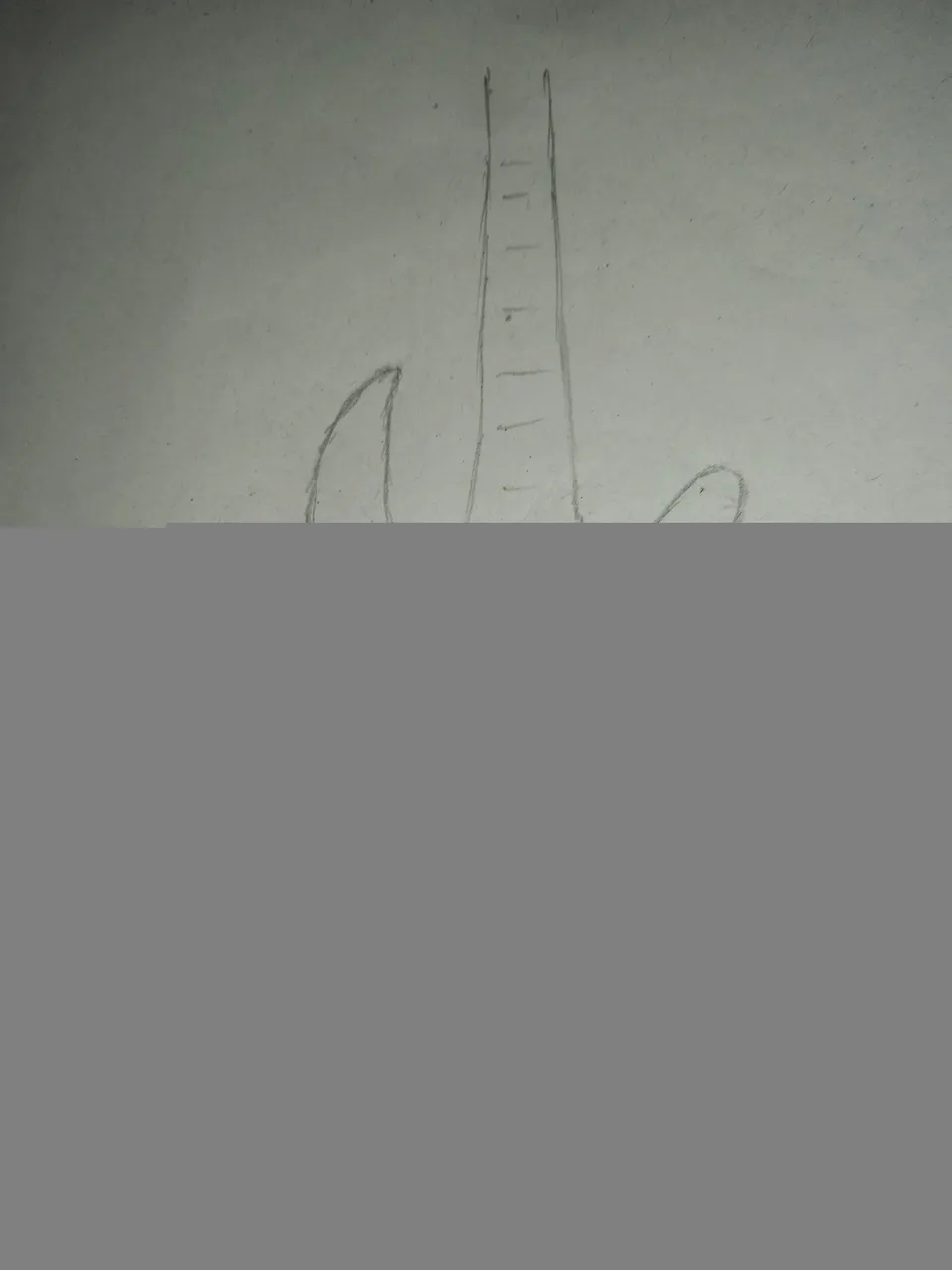 1635086163569.jpg