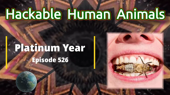 episode 526.png