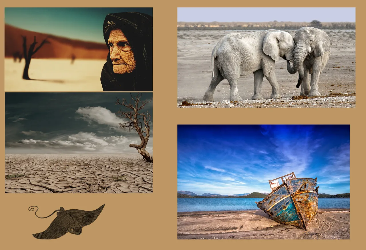 desert-279862.jpg