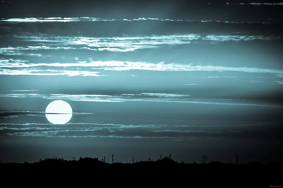DSC_1130-SEP-2.png