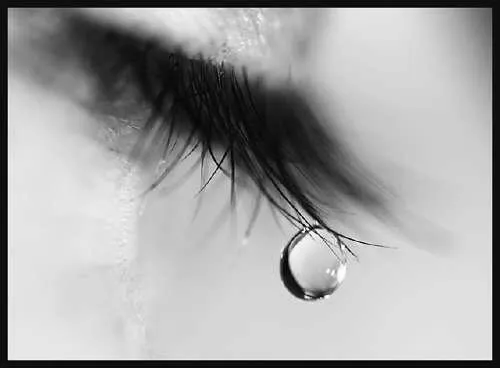 1000081918.jpg