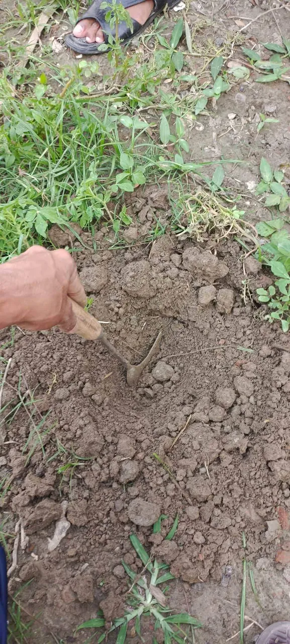 received_472509491026309.jpeg