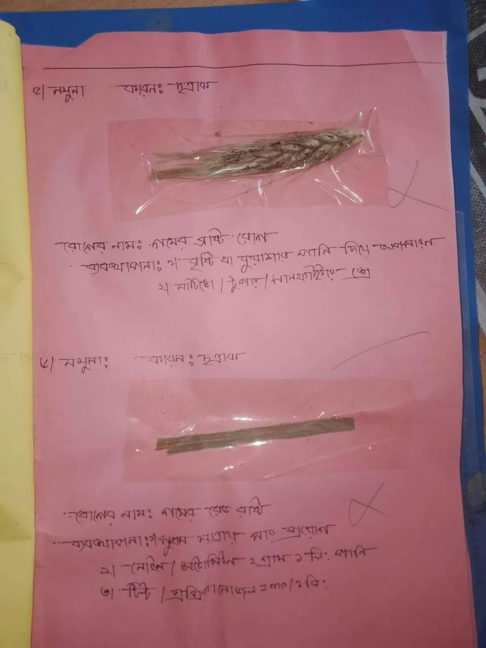 received_1114924489448407.jpeg