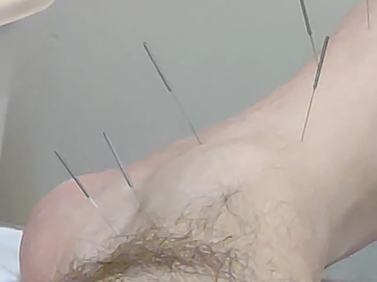 1000003486.jpg