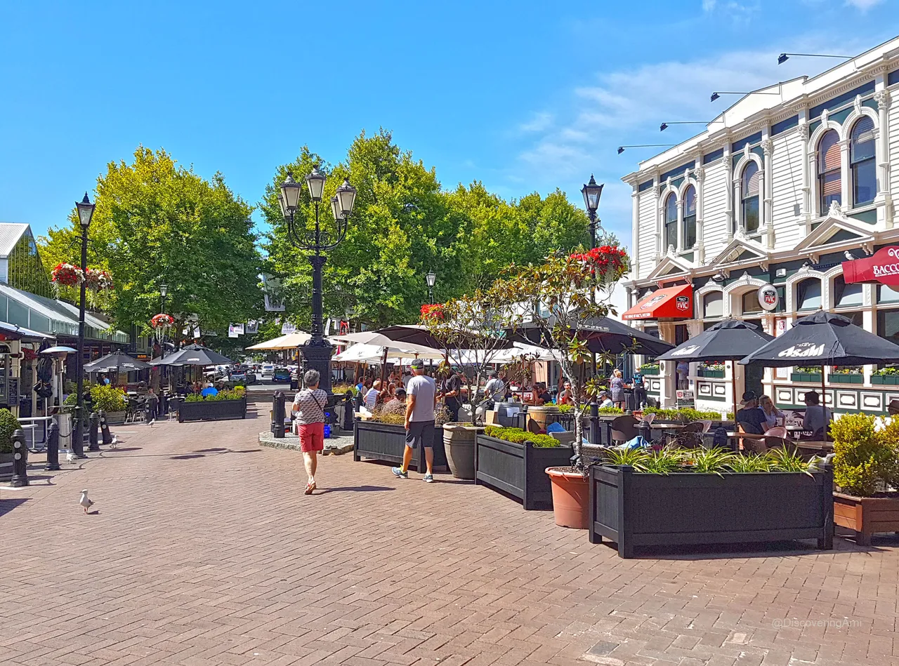 Nelson City - Gearing up for the upcoming New Year
