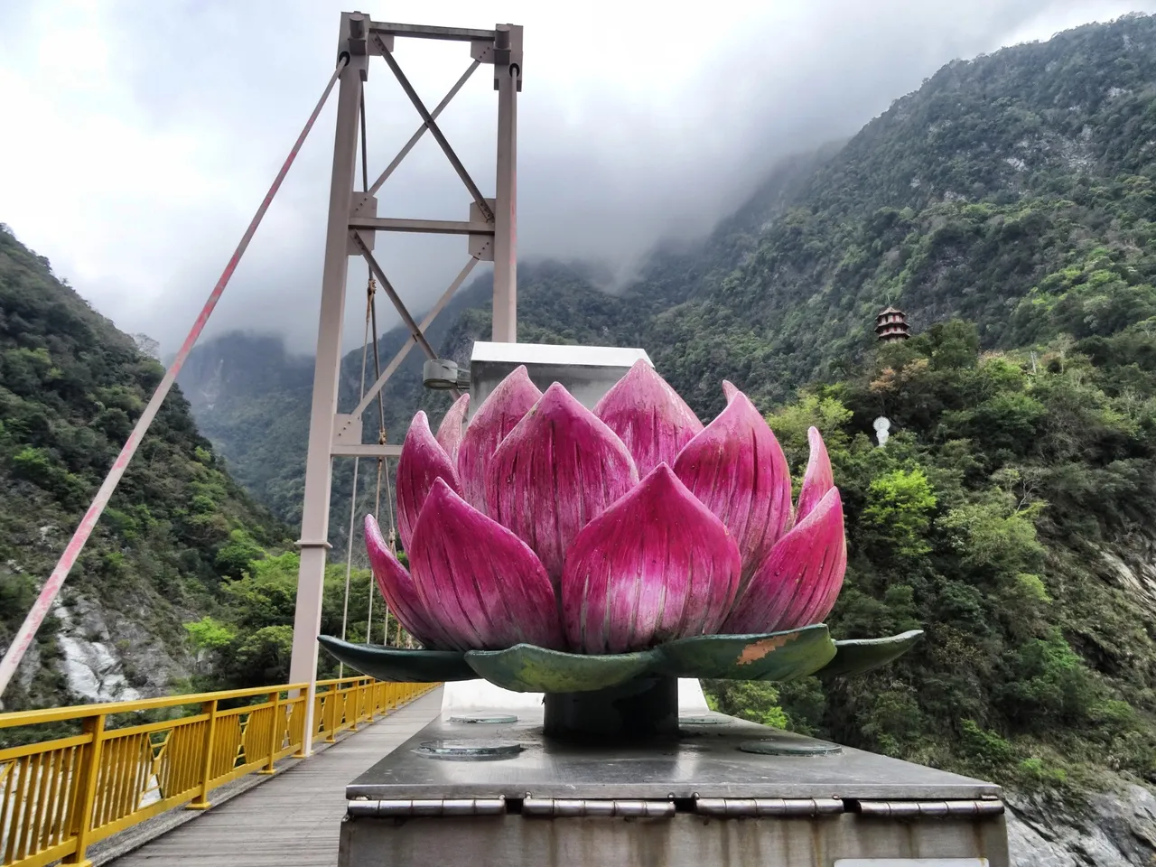 The brigde with a lotus bloom