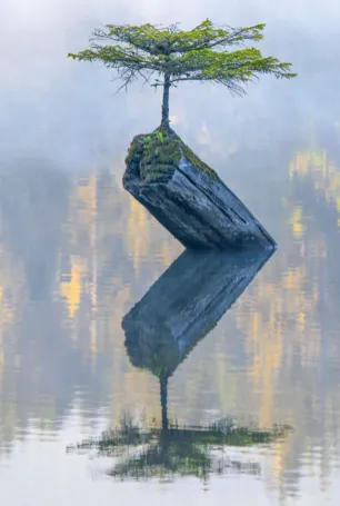 Screen Shot 2019-02-01 at 11.15.53 AM.png