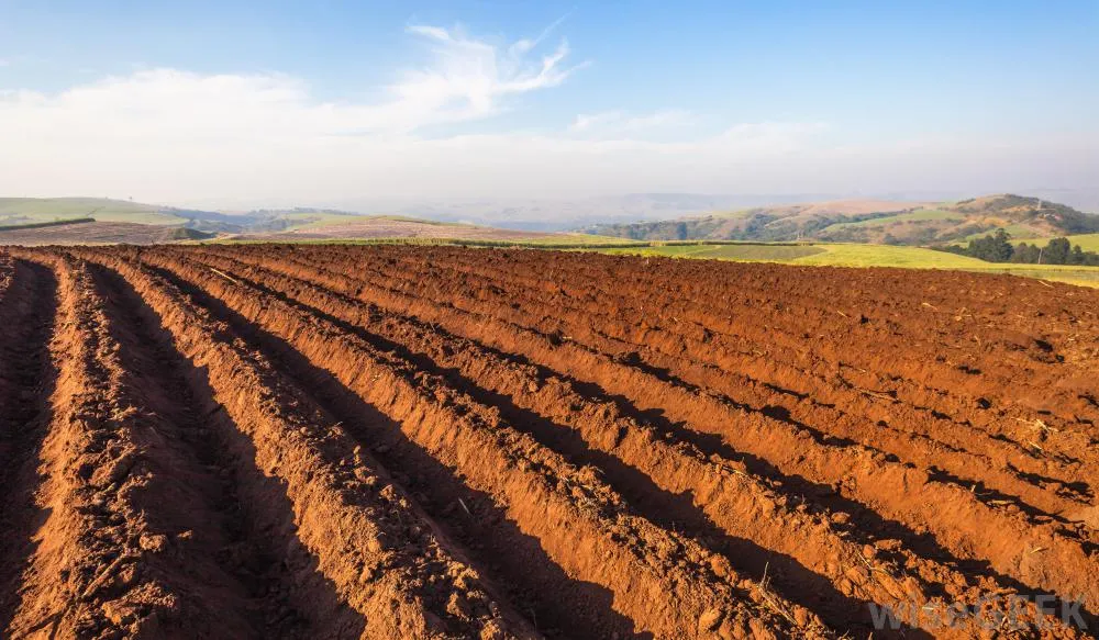 plowed-field.jpg