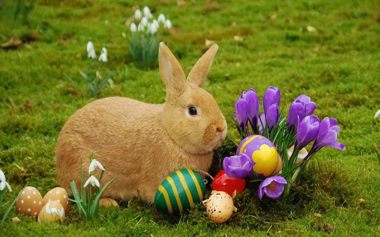 easter-bunny.jpg