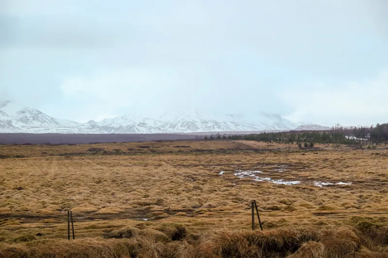 islandia1-10.jpg
