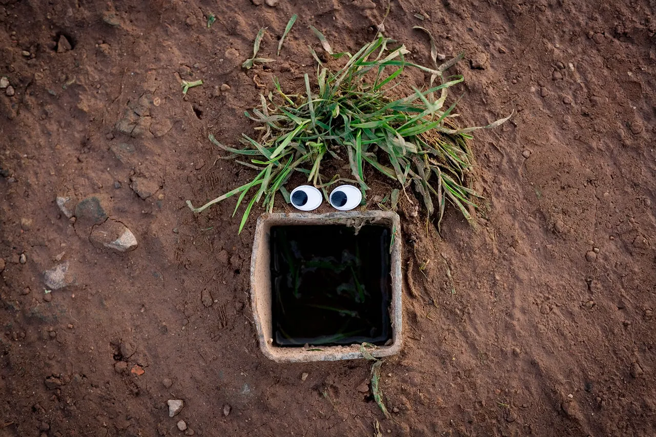GooglyEyes Winniefred Woosl Shot 1