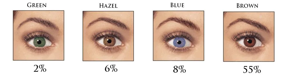 eyes perecnt.jpg