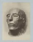 Mummy Head.jpg