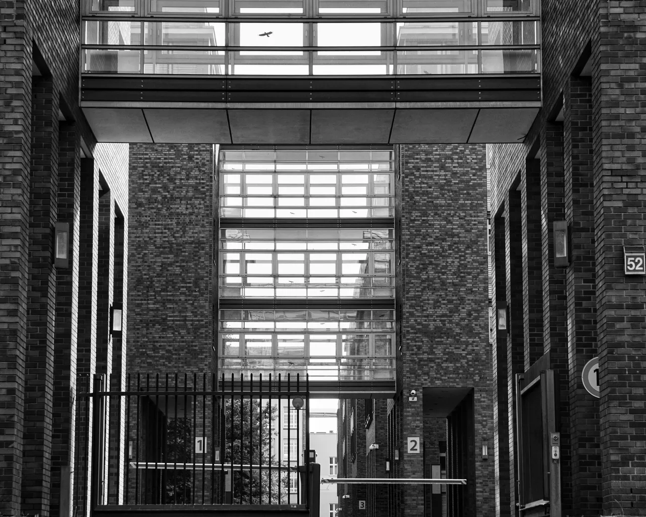 DSC04051-01.jpeg