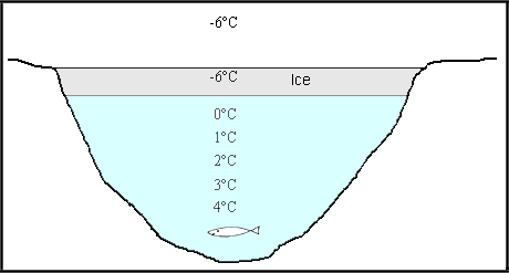 pond layer.gif