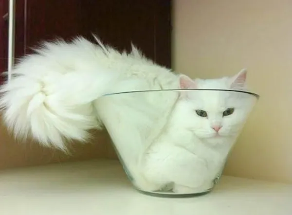 Original 2.jpg
