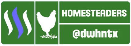 homesteaders.png