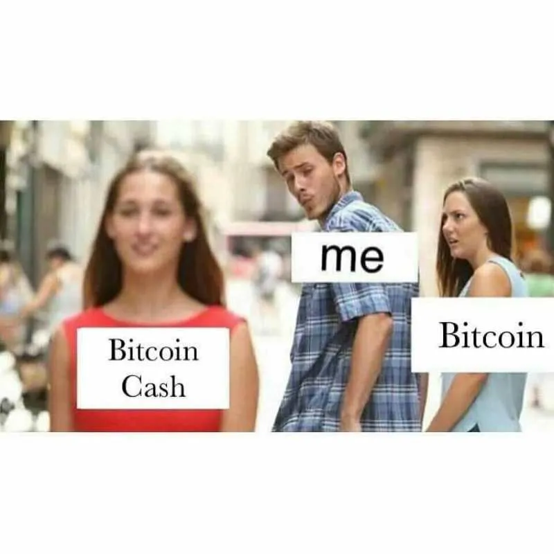226927xmphhz.jpg