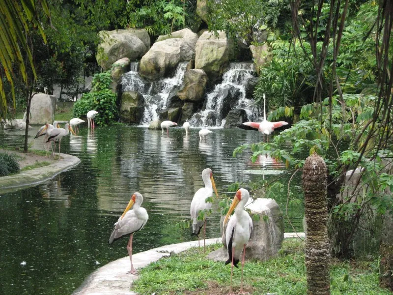 kl-bird-park.jpg