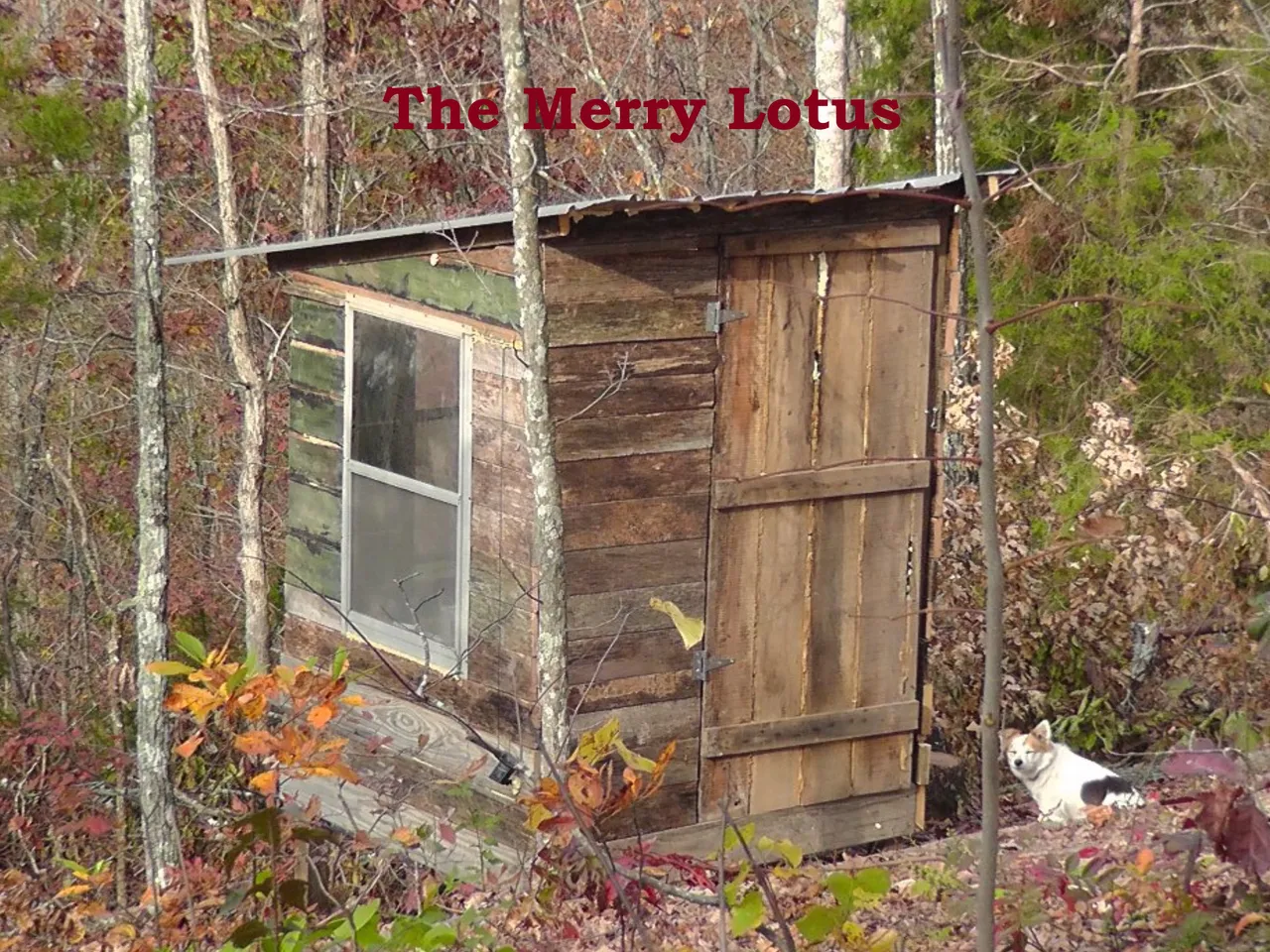 Outhouse 1.jpg