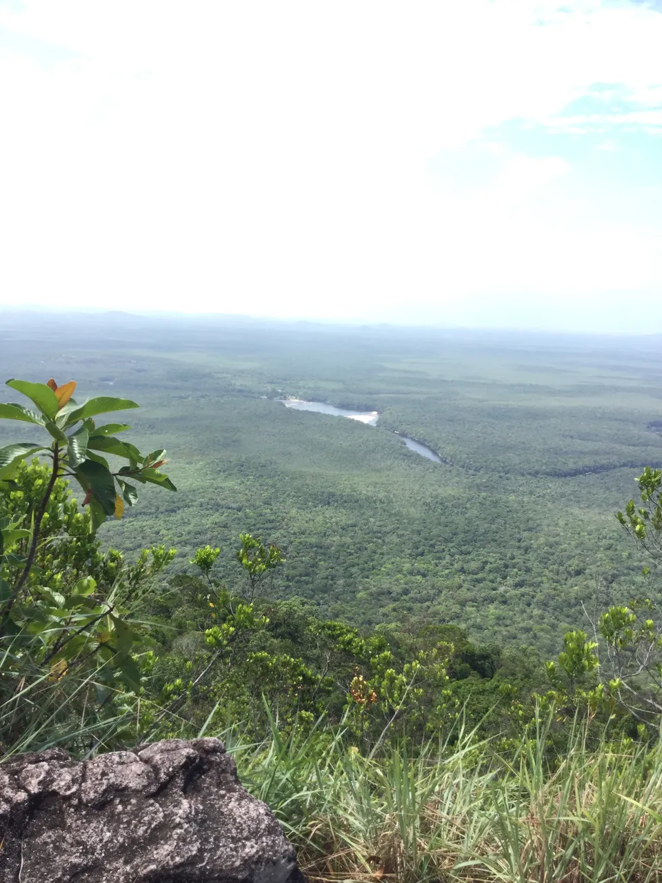 Autana 022.jpg