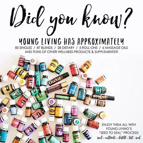 DIDyouKNOWyl.jpg