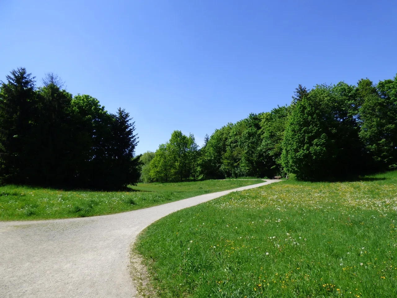 P1020451-min.JPG
