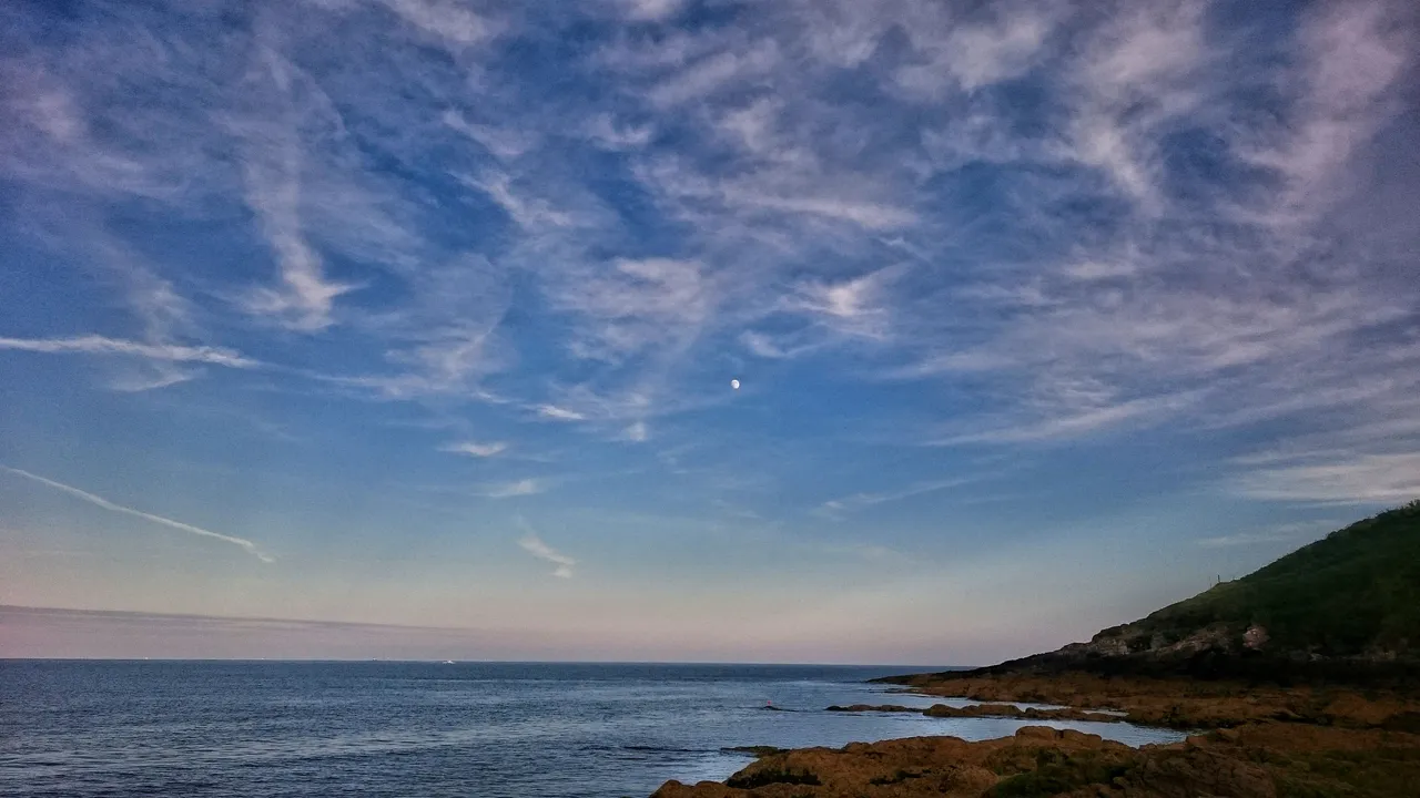 DSC_2160-01.jpeg