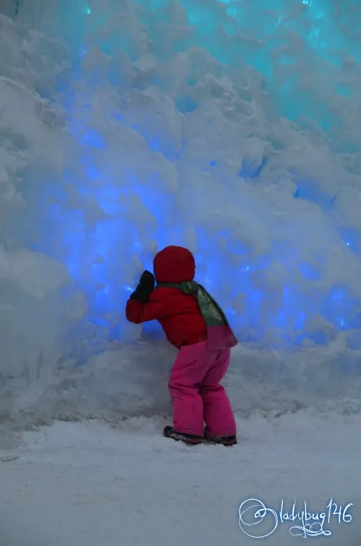 ice_castle10.jpg