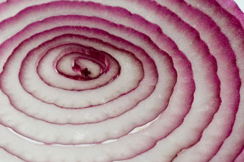 organiconion.jpg