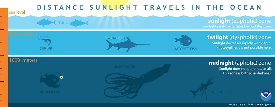 lightinocean.jpg