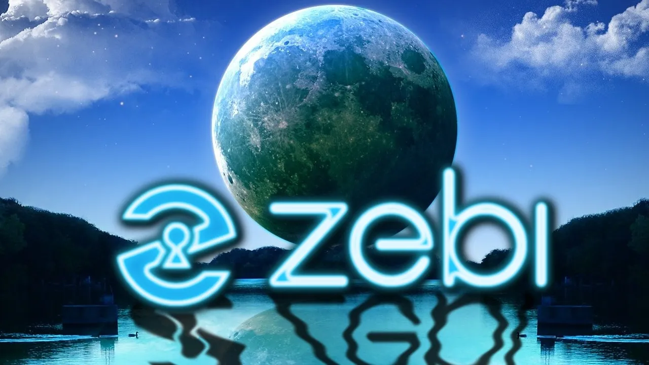 Zebi cover.jpg