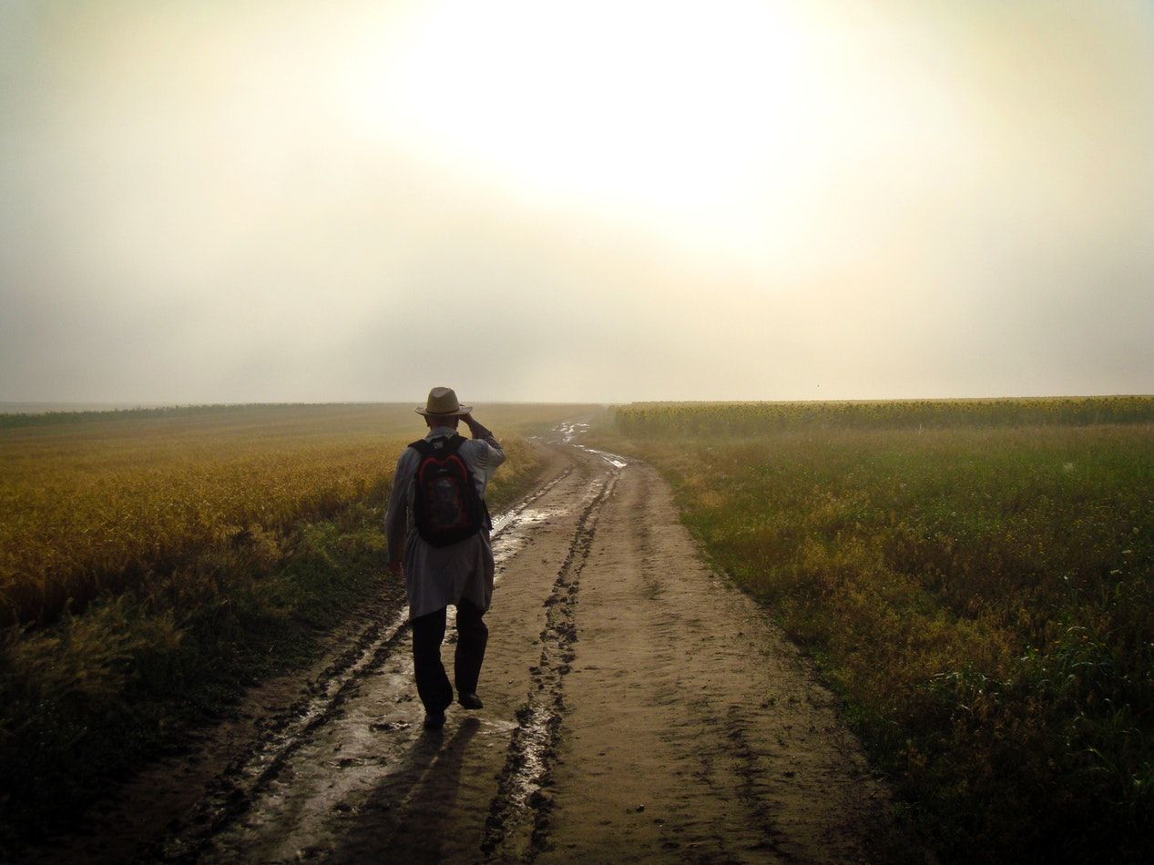 Walking path.jpg