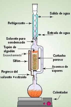 jose steem.jpg