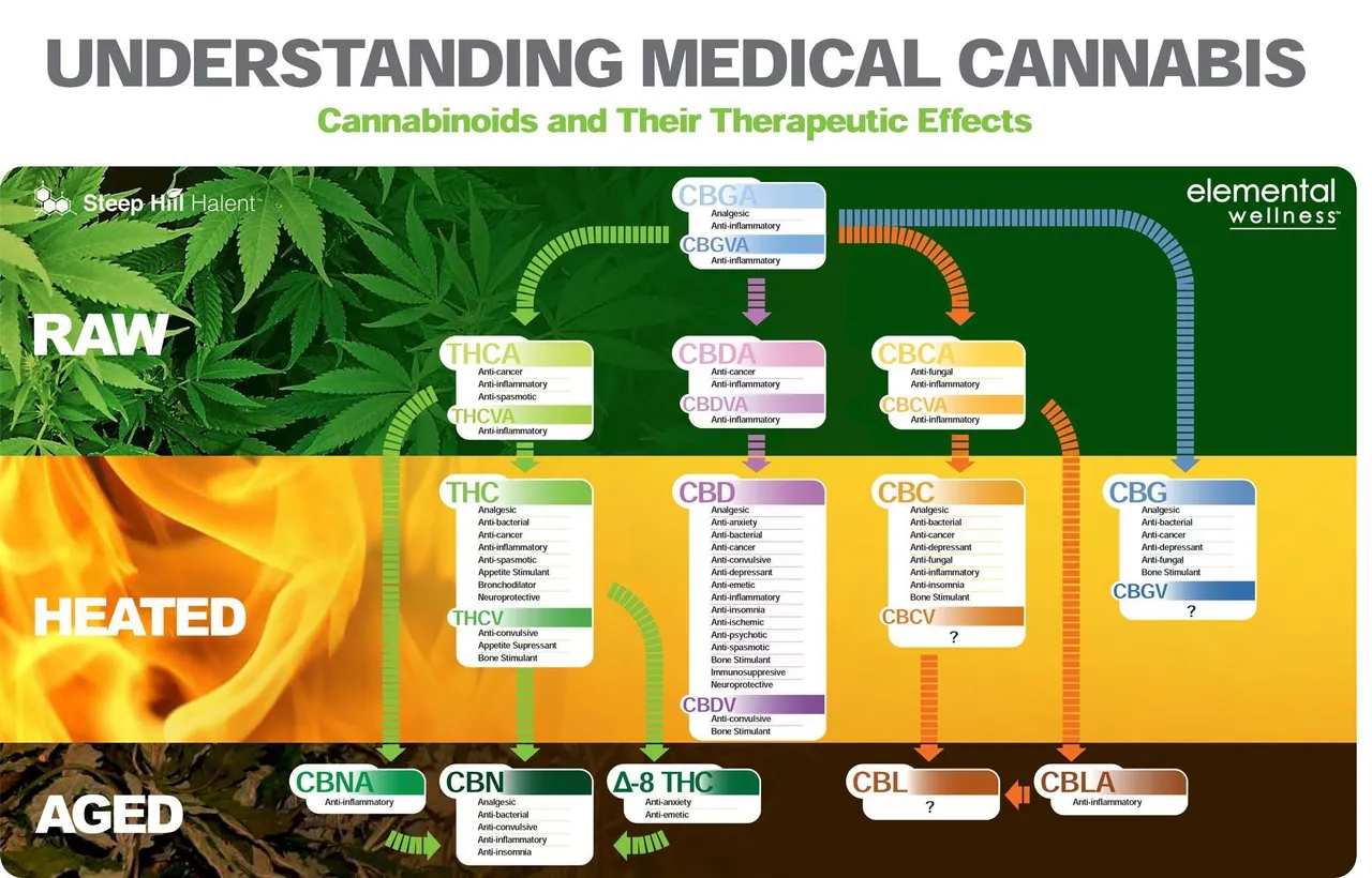 cannabis 5.jpg