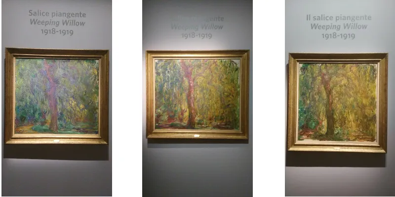 Monet_salice.png