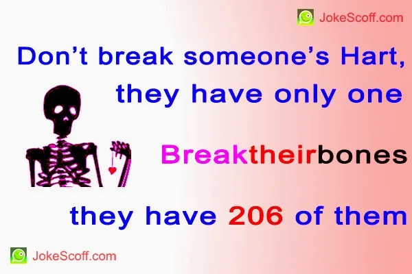 funny-quotes.jpg