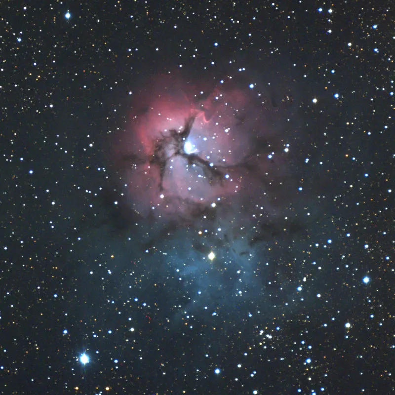 trifid-title.jpg