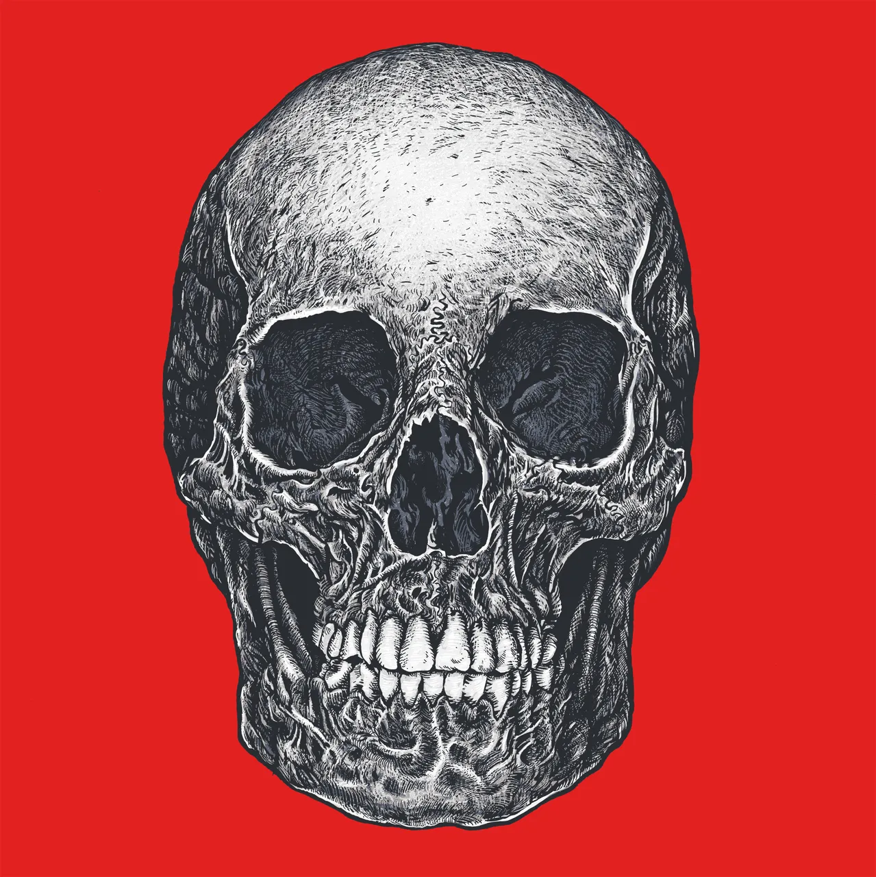 scratchSkull.jpg