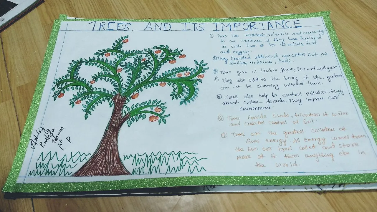 trees and.jpeg