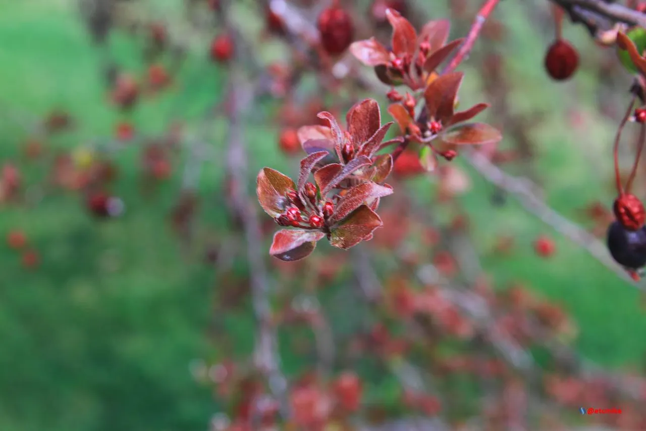 BLM170331-04.JPG