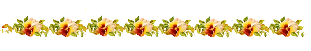 pansy-border.png