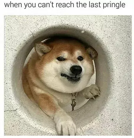 pringledoggo.png