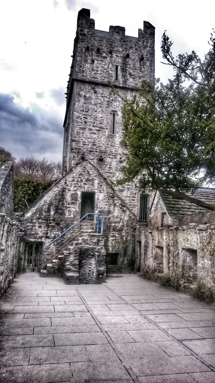 DSC_1158-01.jpeg