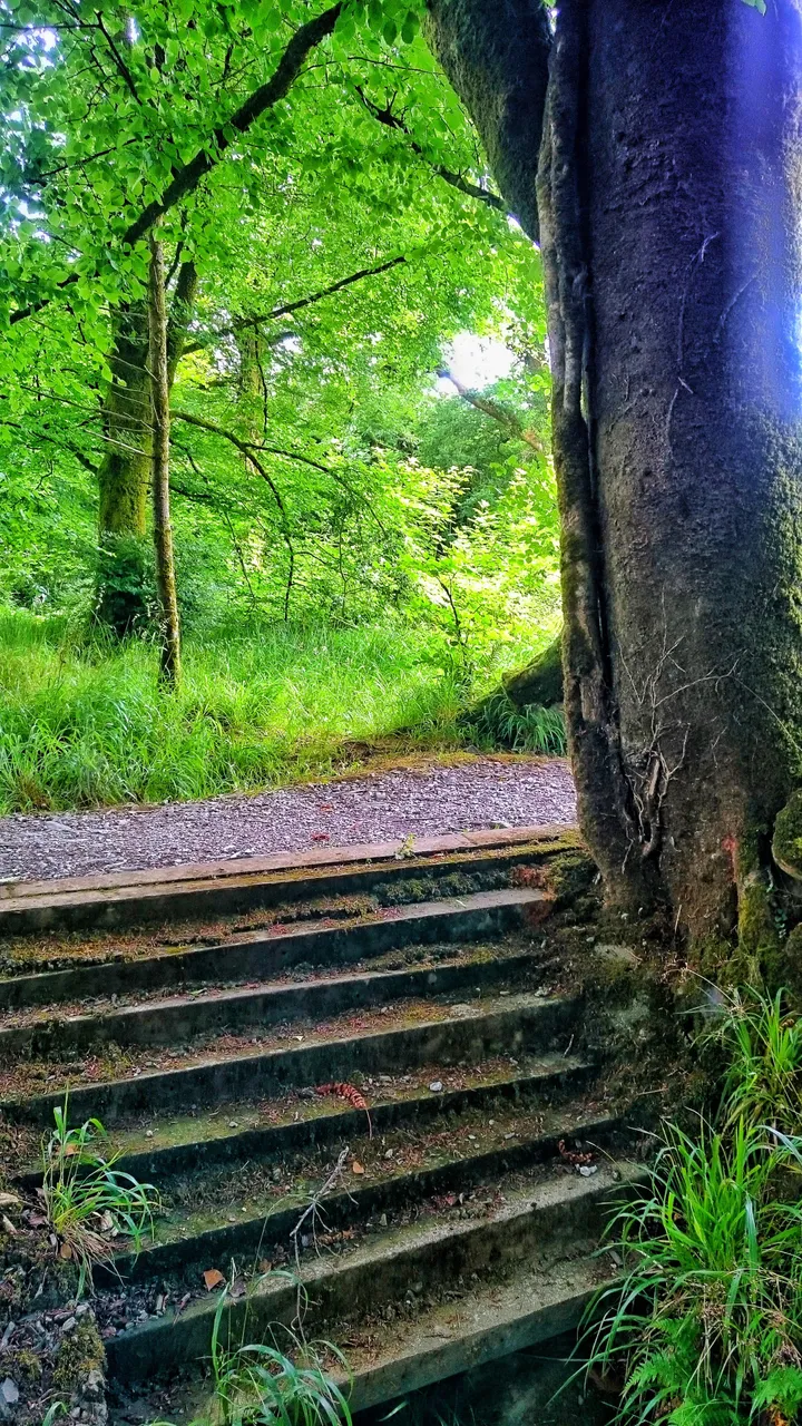 DSC_2078-01.jpeg