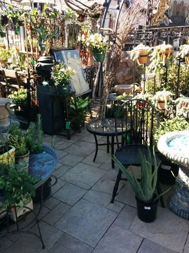 plant shop.jpg