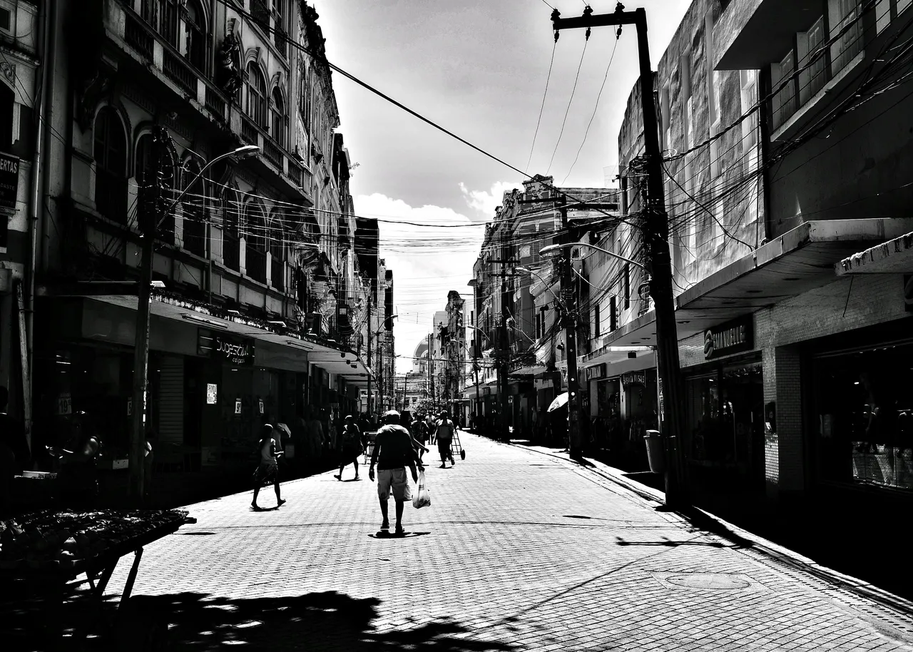 DSC08546-01.jpeg